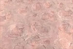�����l(f��)�F(xi��n)��������ء����������E��ʯ�_(d��)364ö