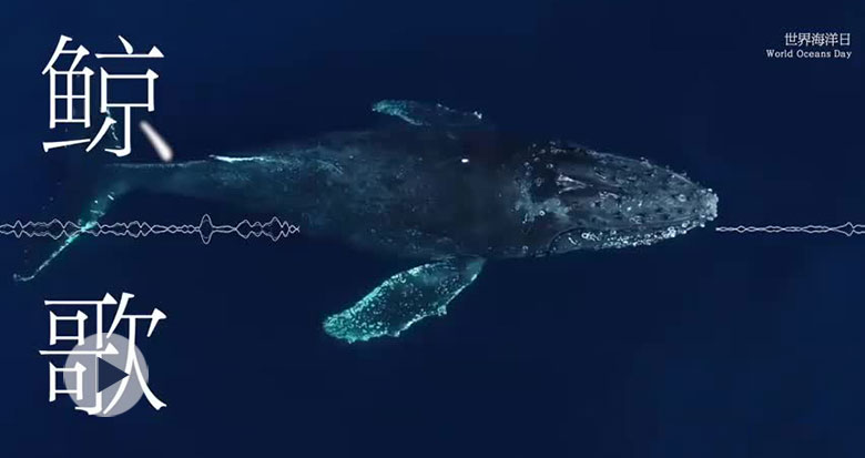 1��犳���ʽ�����L����